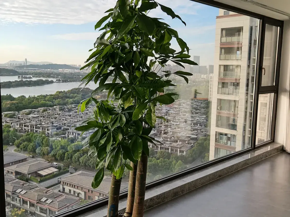 世贸石湖湾门窗定制实景